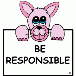 How To Be Responsible
