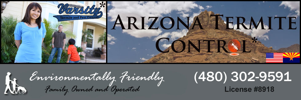 Arizona Termite Control Is Here To Help You