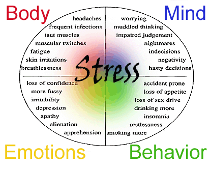 Stress Affects Our Health Big Time